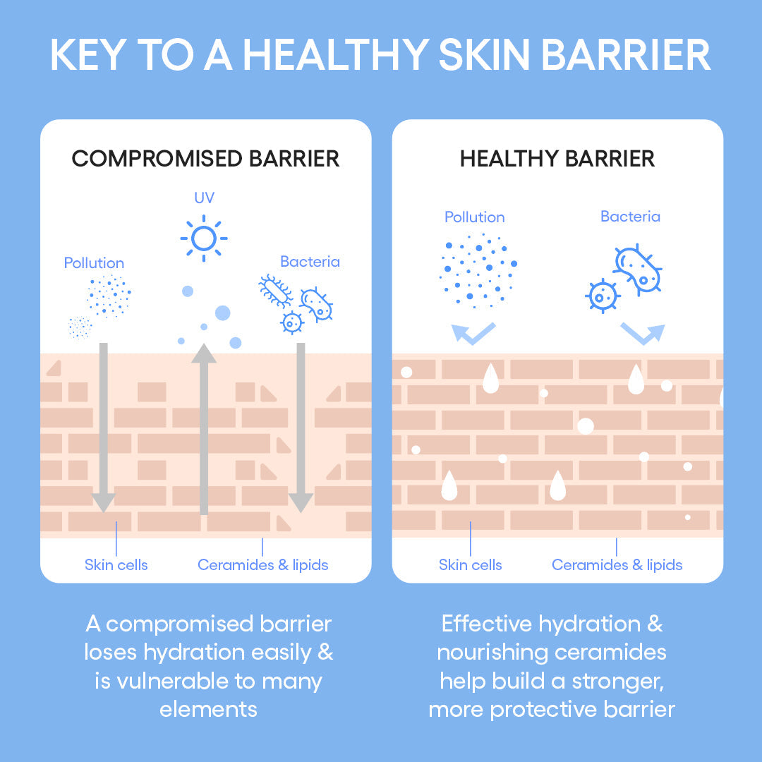 Cream Skin Toner & Moisturizer